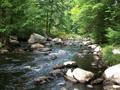 Small stream in Warren County