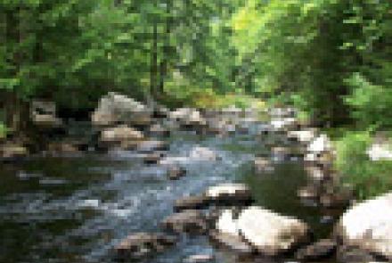 Small stream in Warren County