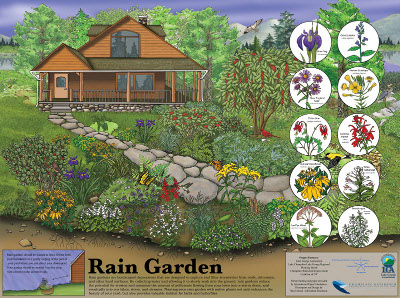 Rain Gardens - WARREN CO SWCD